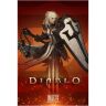 Плакат фірмовий Blizzard Diablo Crusader Poster Плакат фірмовий Blizzard Diablo Crusader Poster