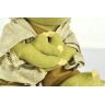 М'яка іграшка Star Wars - Yoda Plush