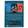 Гральні карти Harry Potter Playing Cards AQUARIUS